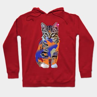 beauty cat tania Hoodie